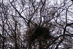 Killikus&reg; Fotographie